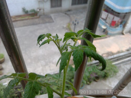 IMG20131109000504.jpg