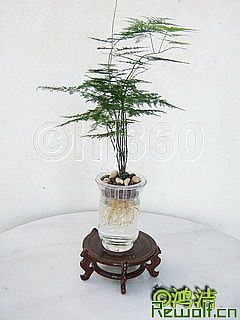 196144305.jpg