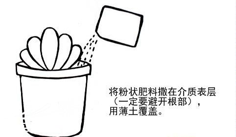 2C92030865.jpg
