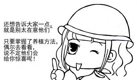 B992030608.jpg