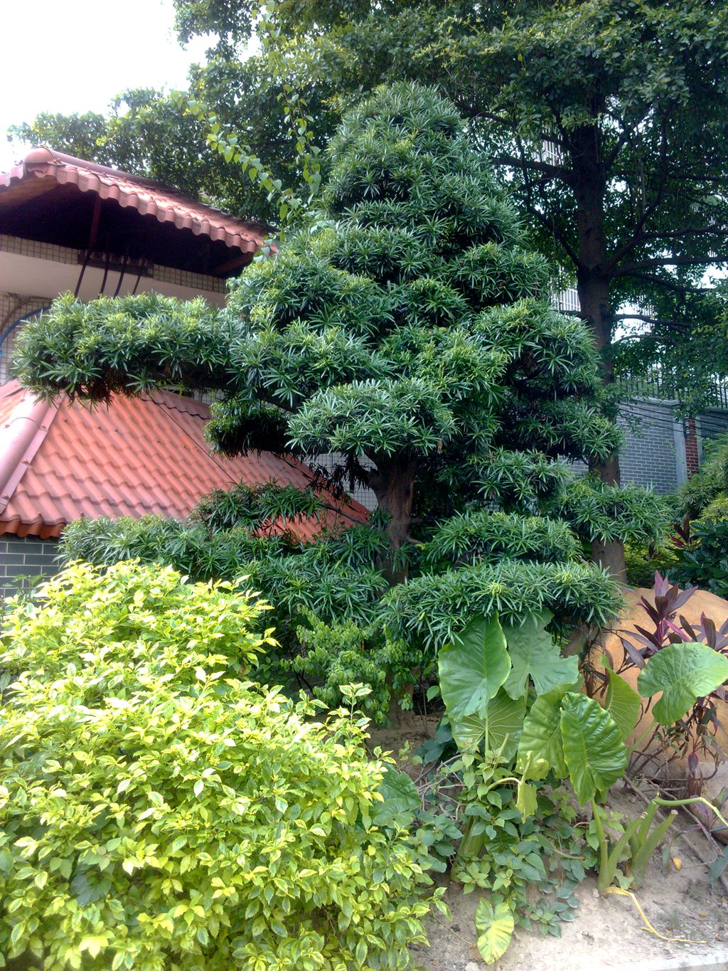 IMG_20130708_102305_副本.jpg