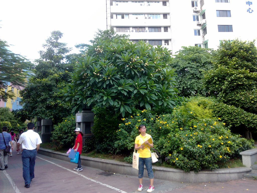 IMG_20130708_102305_副本.jpg