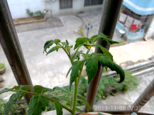 IMG20131109000504.jpg