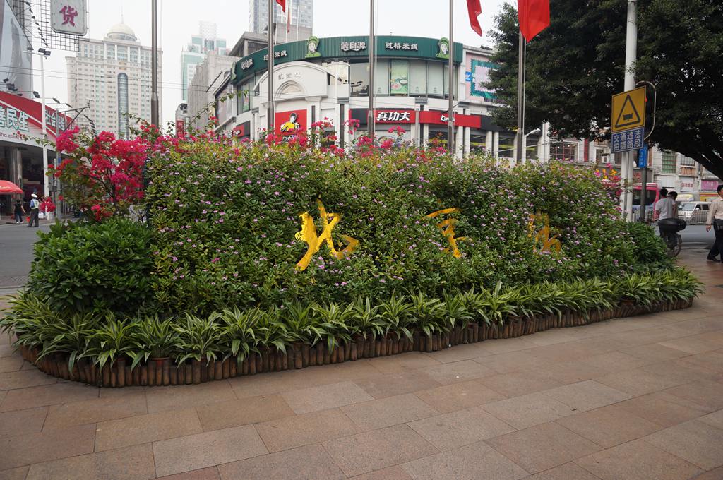DSC02337.JPG