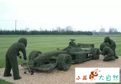 世界十大最经典草雕作品