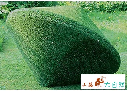 世界十大最经典草雕作品