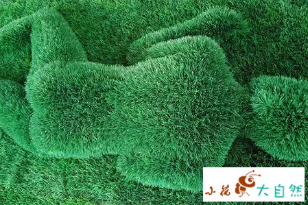 世界十大最经典草雕作品