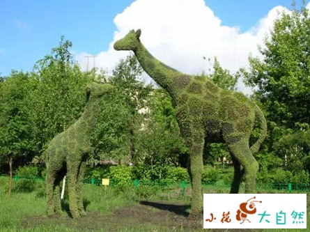 世界十大最经典草雕作品