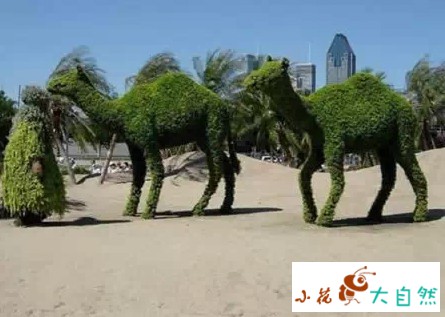 世界十大最经典草雕作品