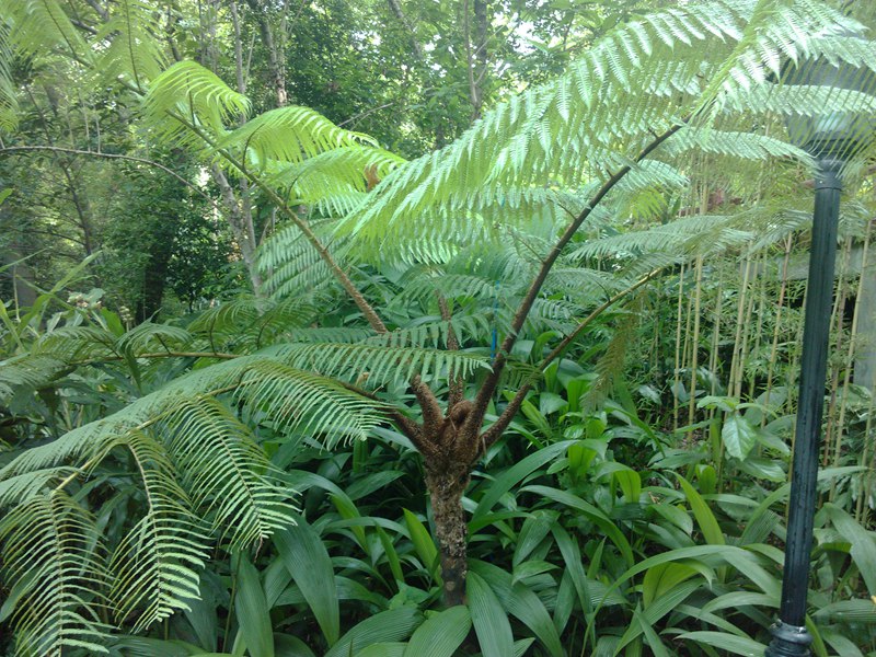 IMG_20130708_163655.jpg