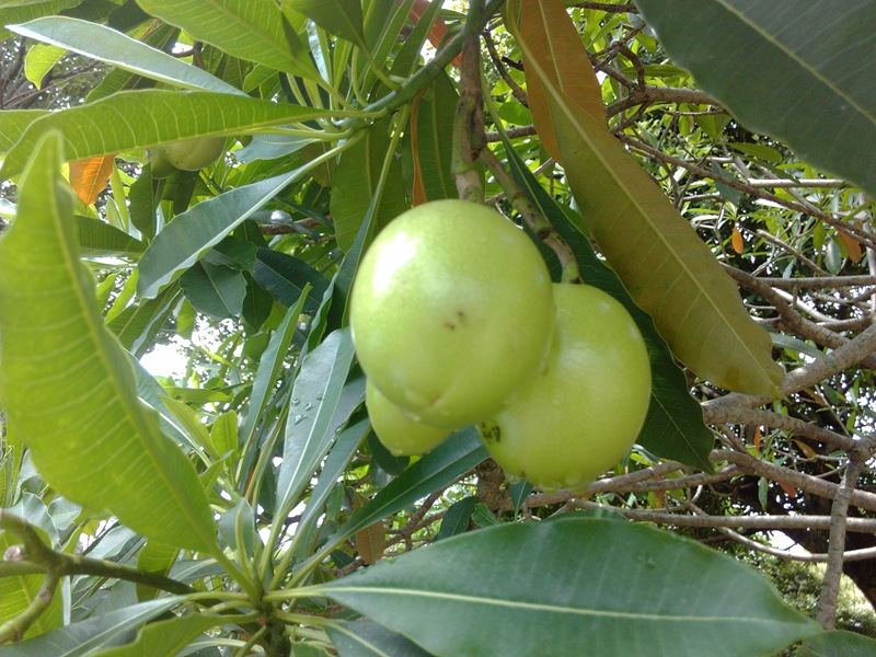 IMG_20130716_115503.jpg