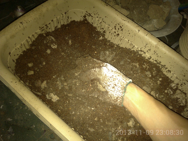 果蔬种植盆