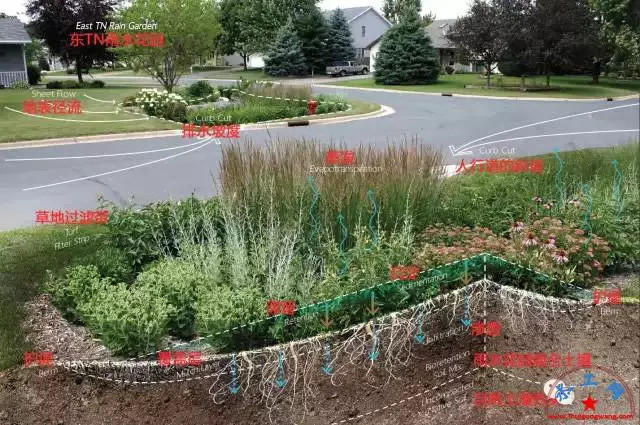 海绵城市做法图解