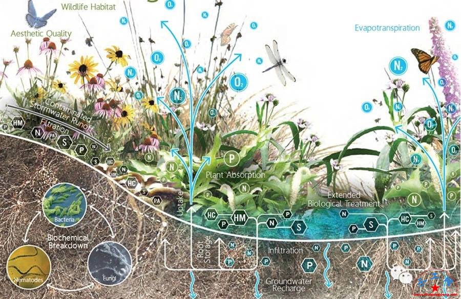 海绵城市做法图解