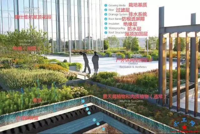 海绵城市做法图解