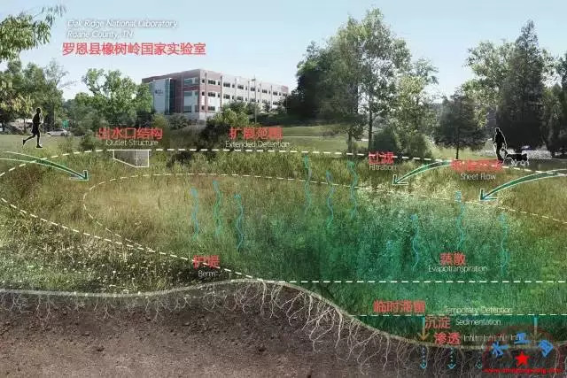 海绵城市做法图解