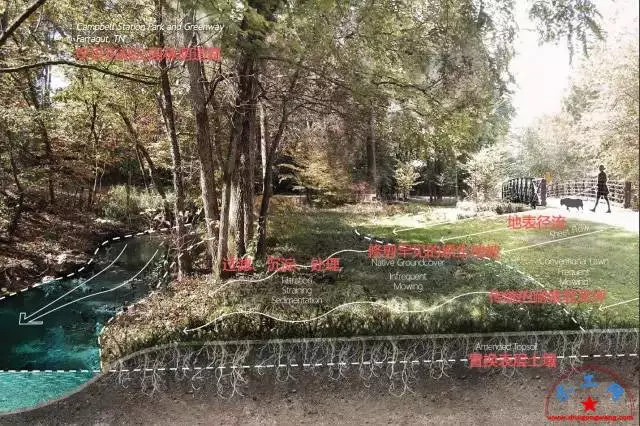 海绵城市做法图解