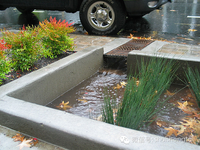 美国雨水管理标准对我国的启示