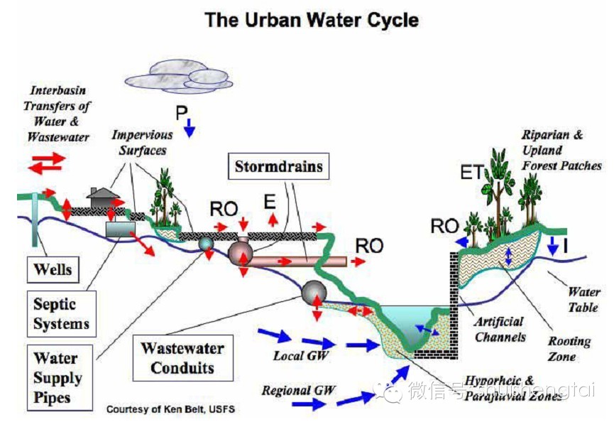 美国雨水管理标准对我国的启示