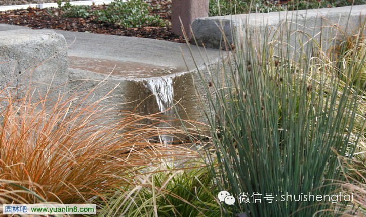 美国雨水管理标准对我国的启示