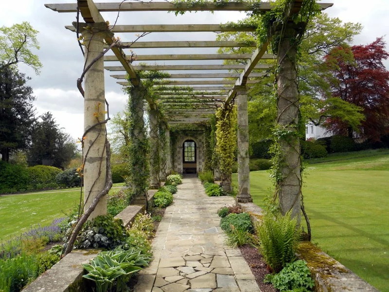 建一个藤本花架，美呆了