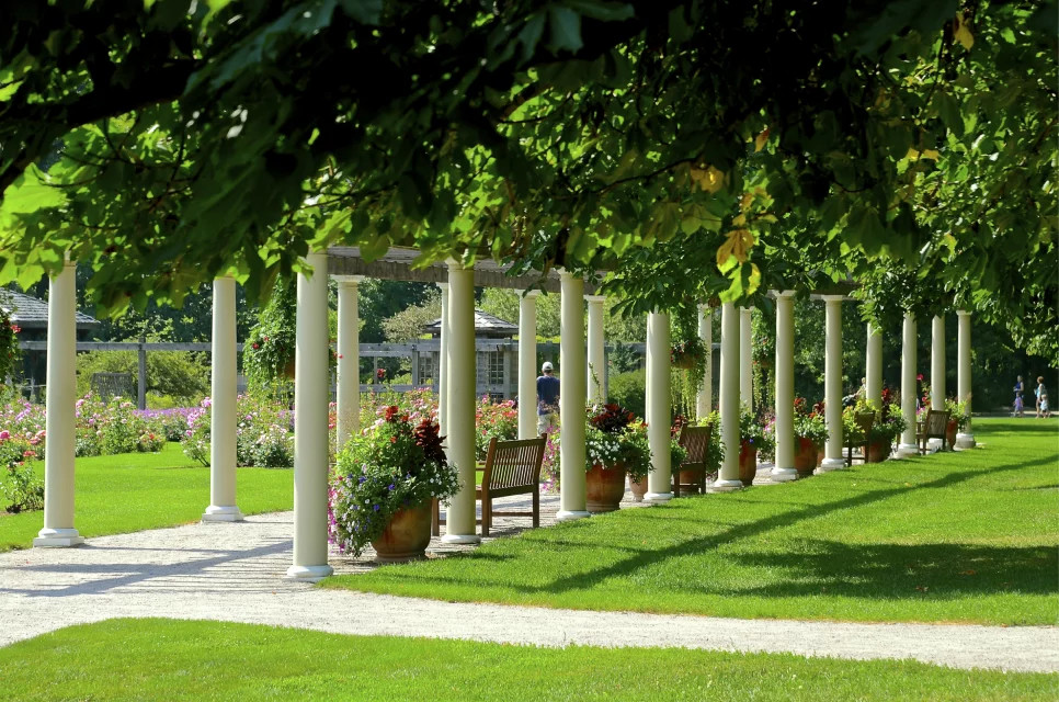 建一个藤本花架，美呆了