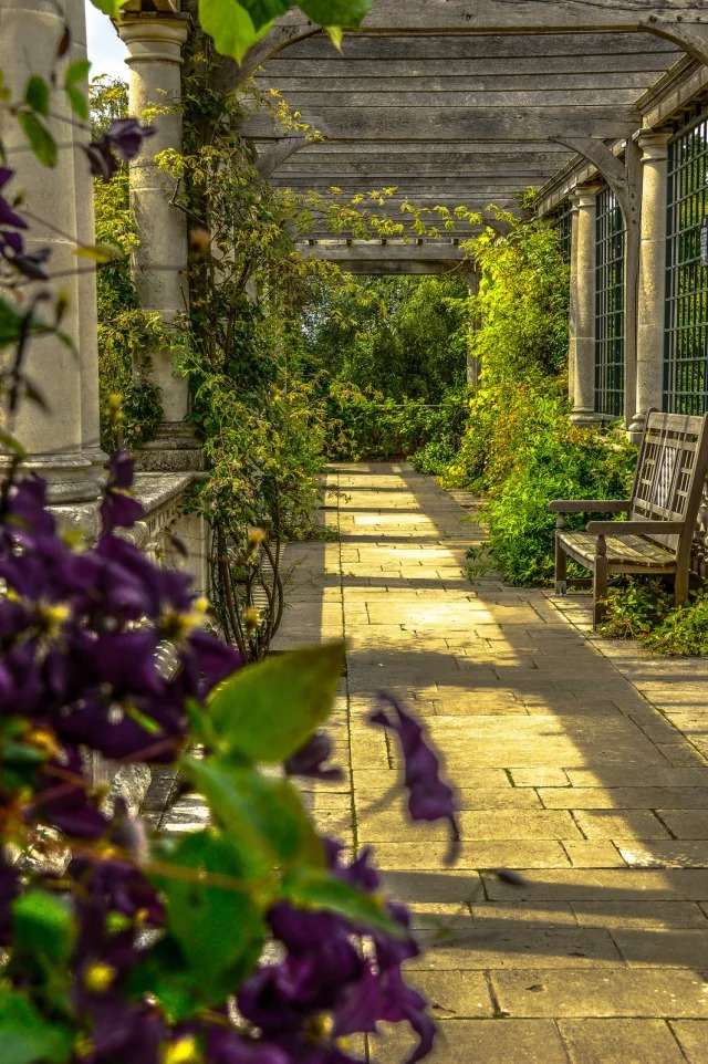 建一个藤本花架，美呆了