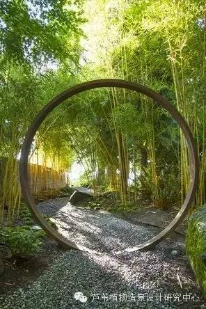 小小毛竹的园林应用