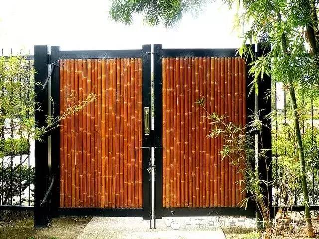 小小毛竹的园林应用