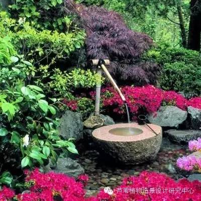 小小毛竹的园林应用