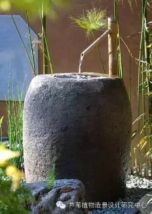 小小毛竹的园林应用