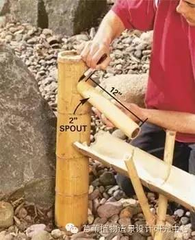 小小毛竹的园林应用