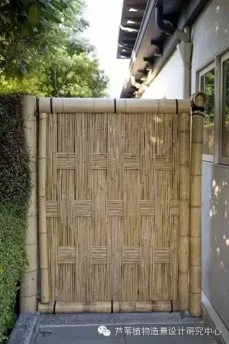 小小毛竹的园林应用