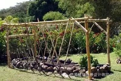 小小毛竹的园林应用