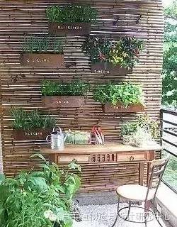 小小毛竹的园林应用