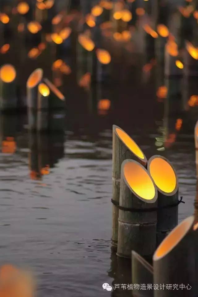 小小毛竹的园林应用