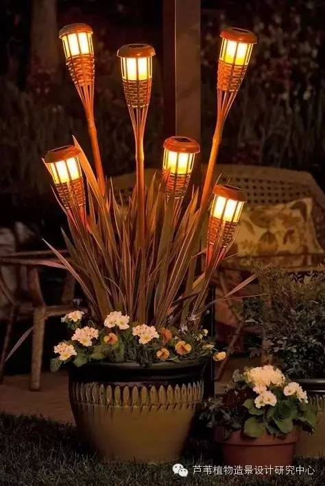 小小毛竹的园林应用