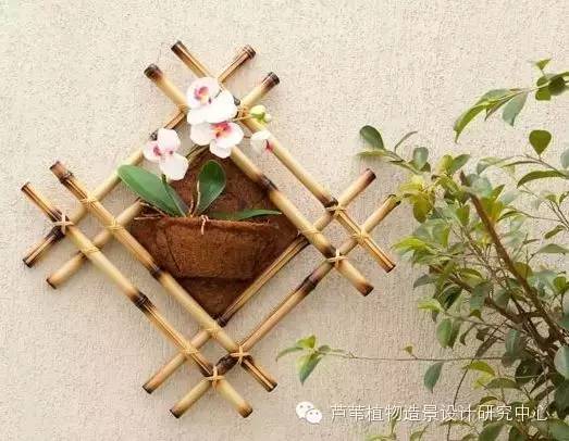 小小毛竹的园林应用