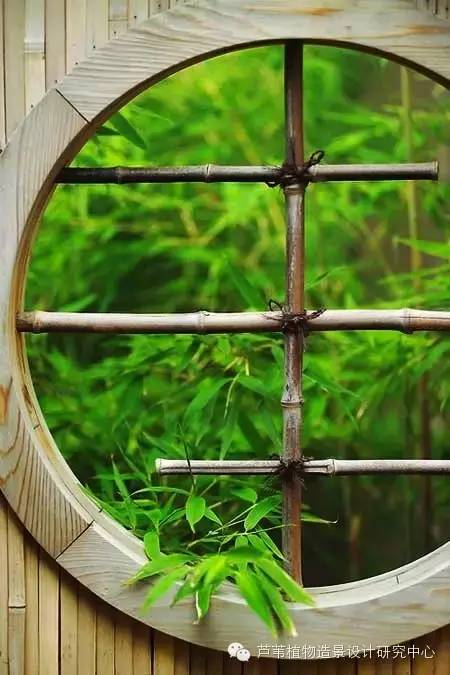 小小毛竹的园林应用