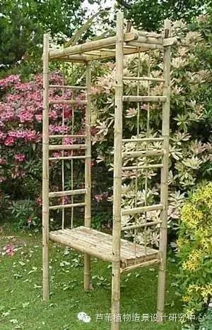 小小毛竹的园林应用