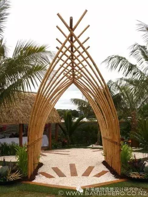 小小毛竹的园林应用