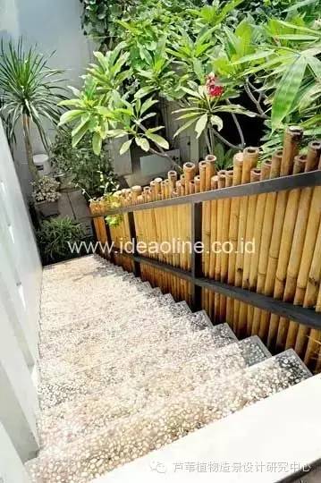 小小毛竹的园林应用