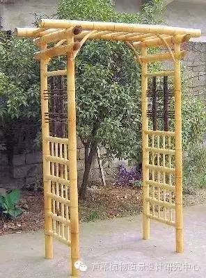 小小毛竹的园林应用