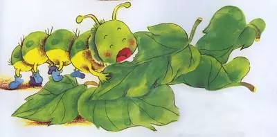 梅雨季的病虫害防治？一看就懂！