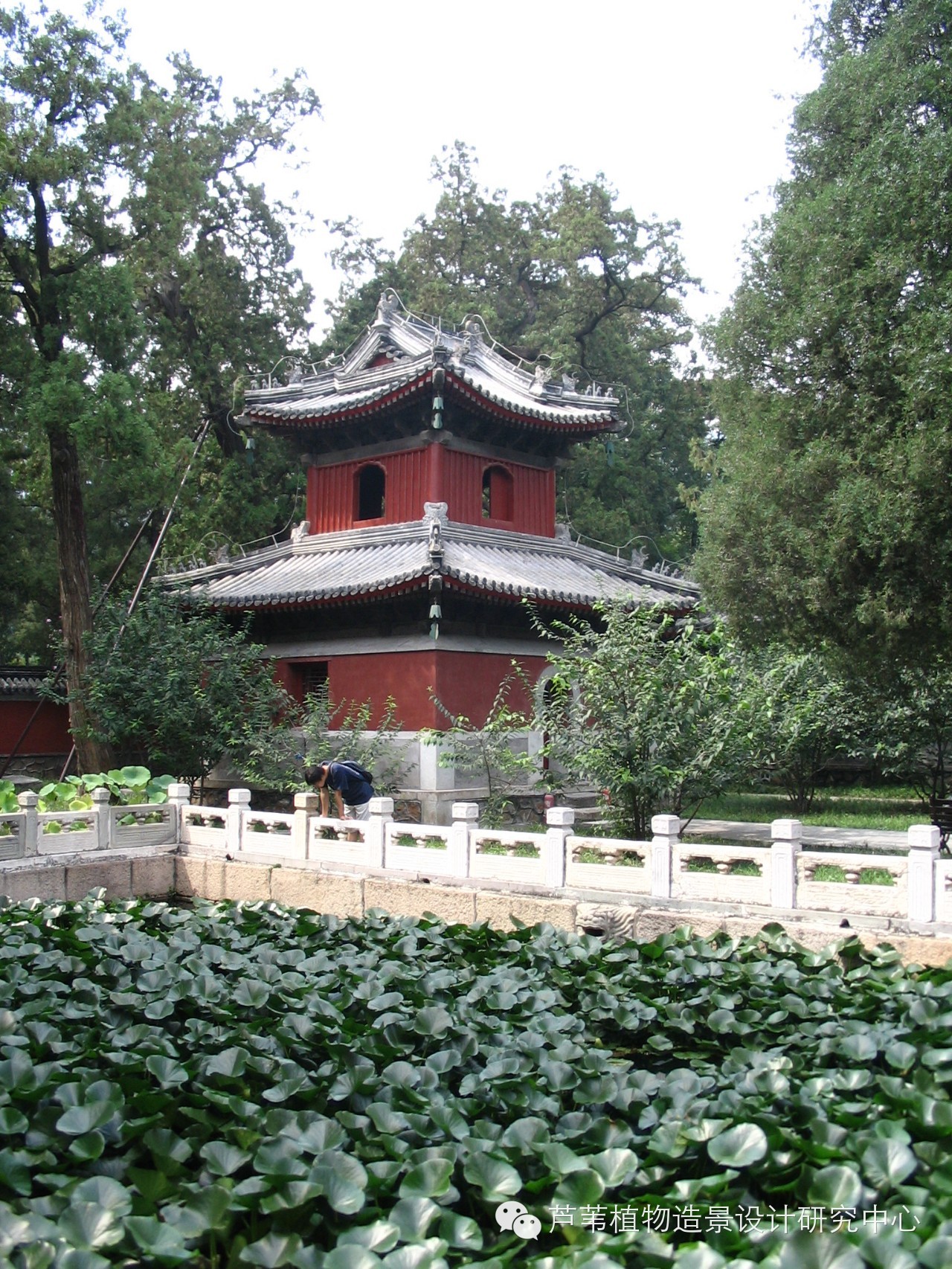寺庙园林景观的植物配置心法