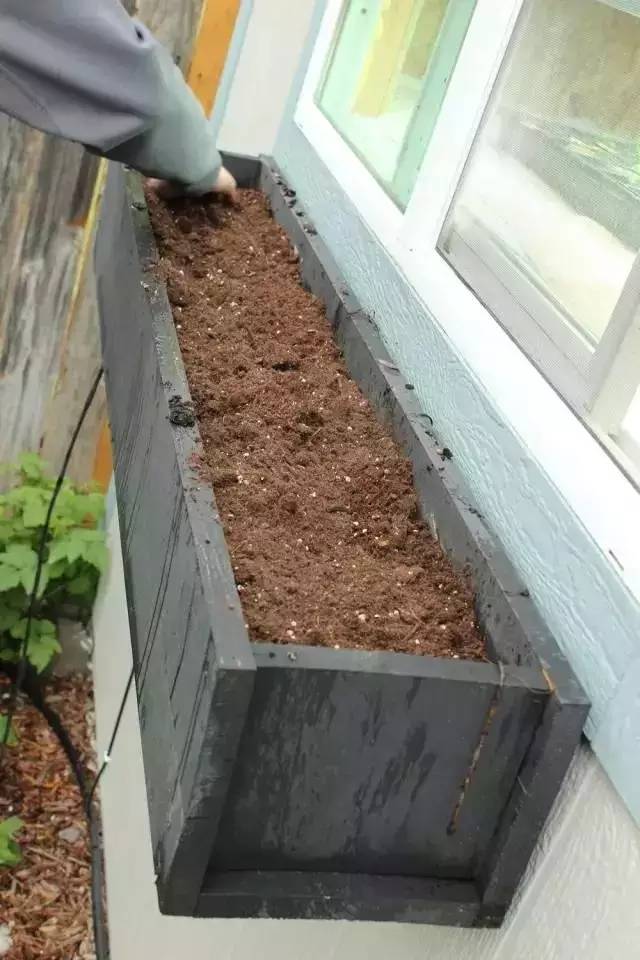DIY在窗户种鲜花