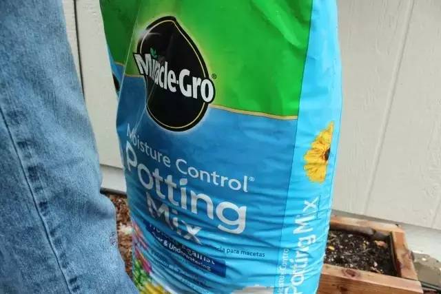 DIY在窗户种鲜花