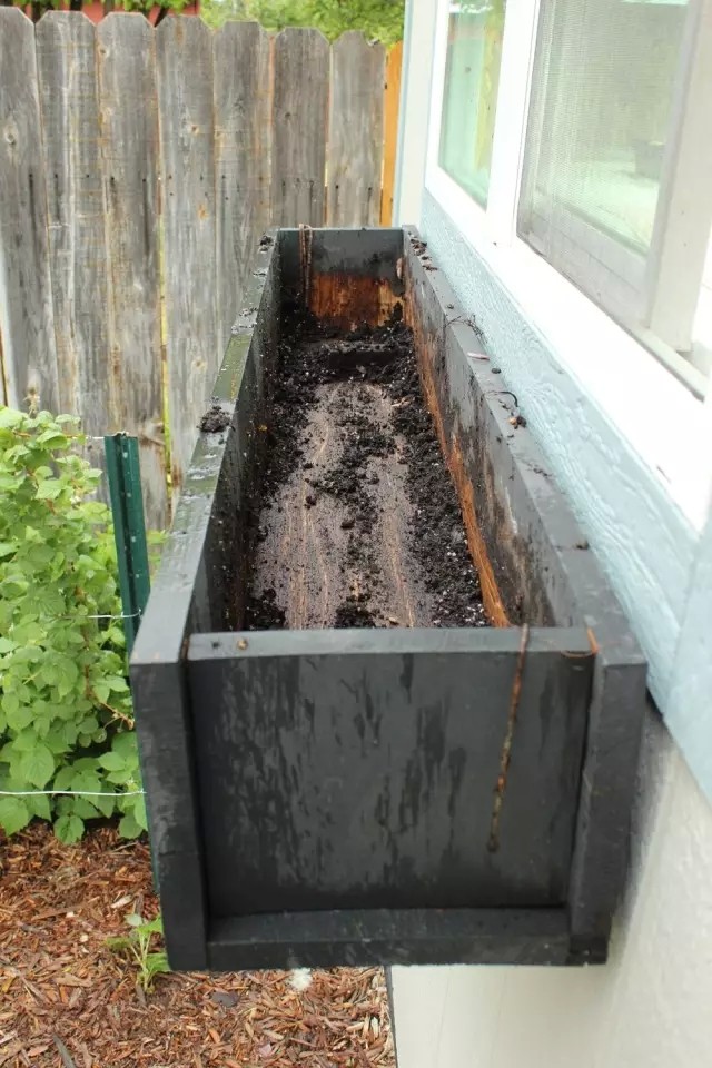 DIY在窗户种鲜花