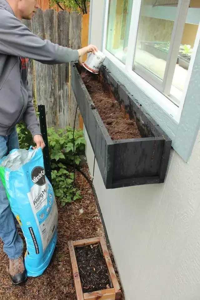 DIY在窗户种鲜花