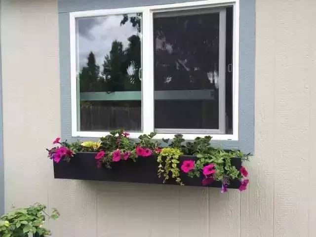 DIY在窗户种鲜花